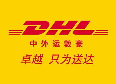 DHL中外运敦豪定制黄色无视窗提升门